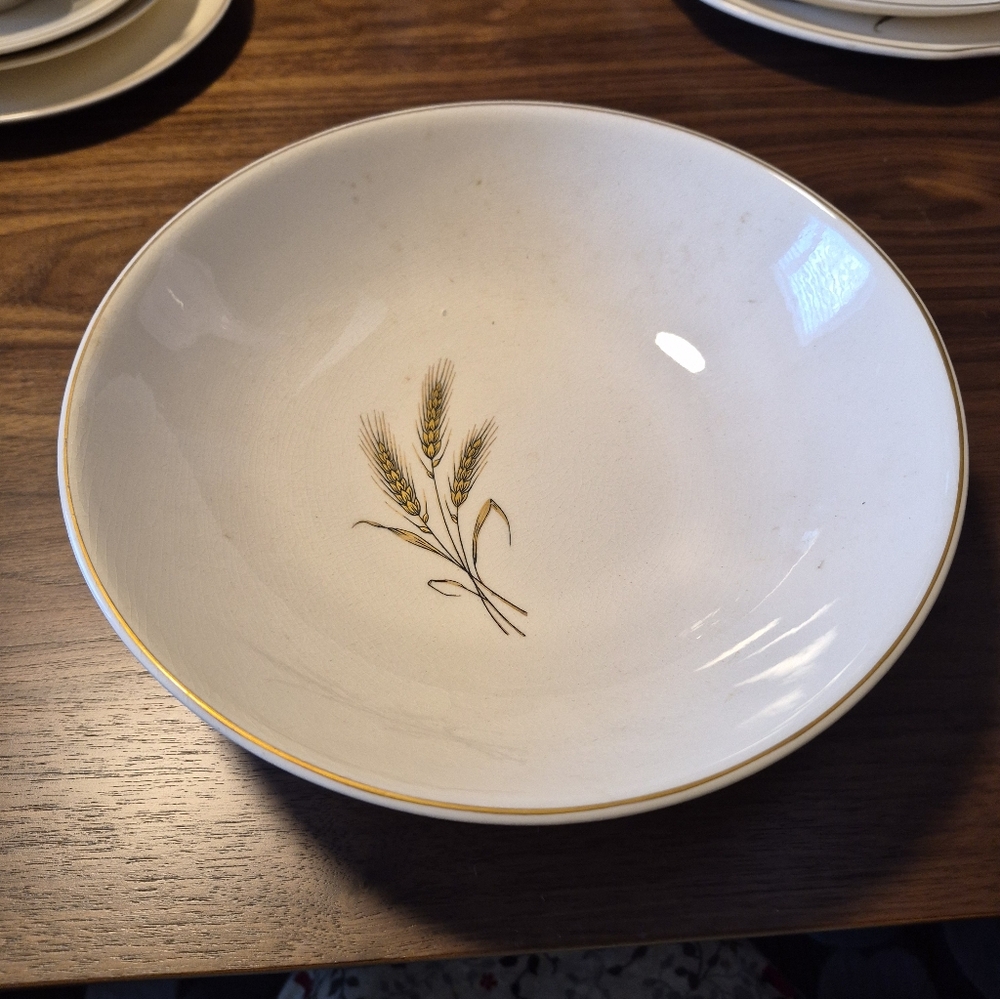 Vintage 1950s Salem Royal Joci 23 K. Gold Hand Painted Medium Serving Bowl